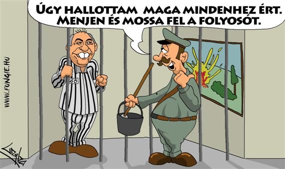 Szak&eacute;rtőket a megfelelő helyekre